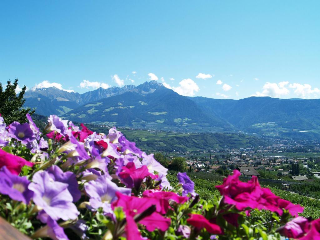 Pension Alpenblick ラグンド エクステリア 写真
