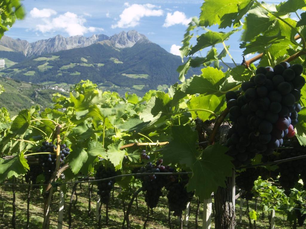 Pension Alpenblick ラグンド エクステリア 写真
